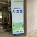 피자마루 홍성점 Daum카페