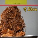 자연고구마순감자탕 이미지