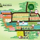 구봉산오토캠핑장 나인힐스 이미지