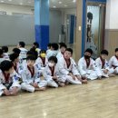 형제3태권도 이미지