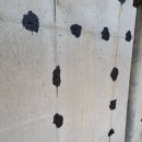 건축사사무소 영일건축 이미지