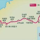 제주 올레길 13코스 이미지