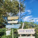 강진만 춤추는 갈대축제 다녀온 후기