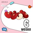 루아산부인과의원 | 임신 6주차 증상 심장소리 난황 확인 시기, 광교 루아산부인과 서브 산부인과 추천