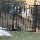 가평댕댕이애견펜션그린 이미지