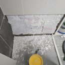 파스텔라 스튜디오 이미지