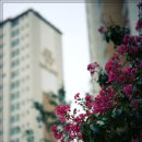 수완코오롱하늘채 이미지