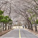 송백로-5 이미지