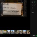 성모사랑약국 | 2025년, 블로그가 나에게 가르쳐준 것들