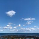 우도특별시 네이버블로그