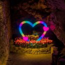 호텔자유 이미지