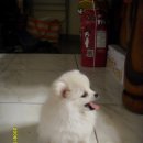 도봉-도봉-서울도봉-2312 이미지