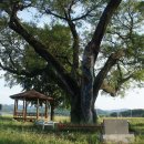 가일보건진료소 이미지