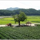 삼지연못 이미지