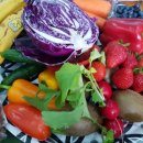 색채심리상담사2급 이미지