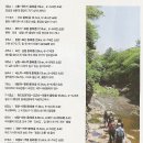 올레휴 Daum카페