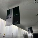 운동화구두빨래방 | 쿠에른 바자 2026 프리 오픈 득템하고 만족한 후기