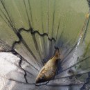 소양계곡낚시터 이미지