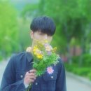 모해 Daum카페