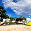 진사대소리 이미지