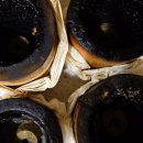 소나무한의원 | 대구턱관절 치료 잘하는 곳 소나무한의원 후기