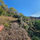 금화부동산공인중개사사무소 이미지