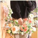 뮤즈플레르 이미지