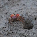 중선포천 이미지