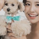 마곡네일 조각네일 유니크웨딩일아트후기 반려견동반 가능한 강서구 네일아트샵