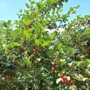 씨앤필드 이미지