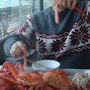 맛있게싸게 홍게대게 티스토리