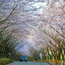 황령산순환도로 이미지