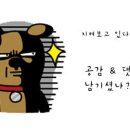 차이림 - 안성시 오촌길 81-14 | 차이림