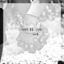 서울애견 이미지