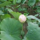 방죽주유소 이미지