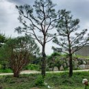 문정농장 이미지