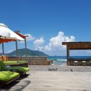 더 엘레펀트 이미지