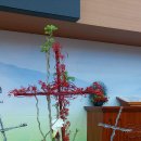 꽃꽂이(주간) 이미지