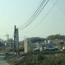 광명한우타운