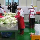 올리고마을영농조합법인 이미지