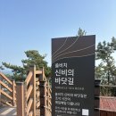 바닷길풍경 - 35848 | 쏠비치 진도 2박 3일 후기 2 - 쏠비치 신비의 바닷길, 쏠비치 진도 수영장 후기, 셰프스키친 석식 후기