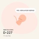 제천시 보건소 | 임신 후기를 보내며..👶🤍(출산 D-1)