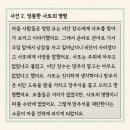 비단이야기