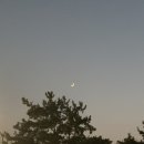 최동민양푼갈비동산점 이미지