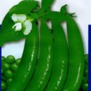 진양원예사 이미지