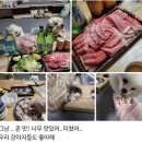 참치가게 - 광주시 파발로 210-1 | 참치가게