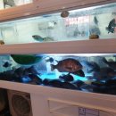 퇴근길자연산횟집 이미지