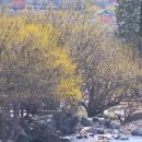 꽃향기가득한 이미지