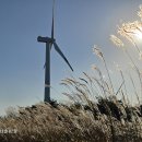 진북초등학교 이미지