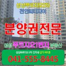 성성6로7-6 Daum카페